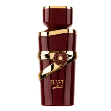 Дамски Парфюм Fragrance World Just Anabi EDP 100 мл.
