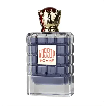 Мъжки Парфюм My Perfumes Gossip Homme EDP 100 мл.